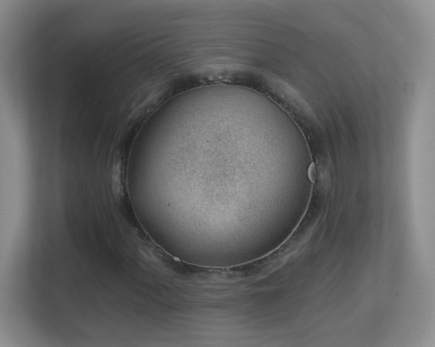 X0000113901060200909241433