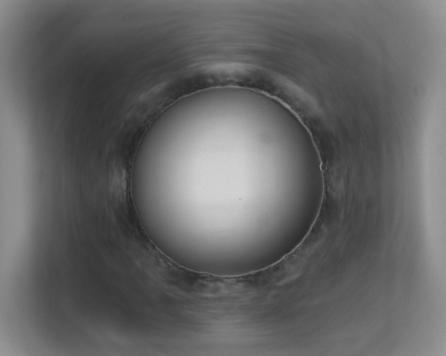X0000113901061200909241433