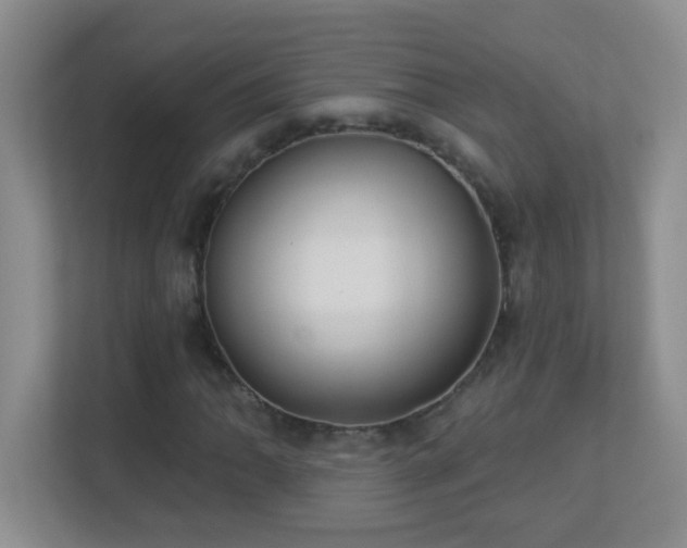 X0000113901062200909241433