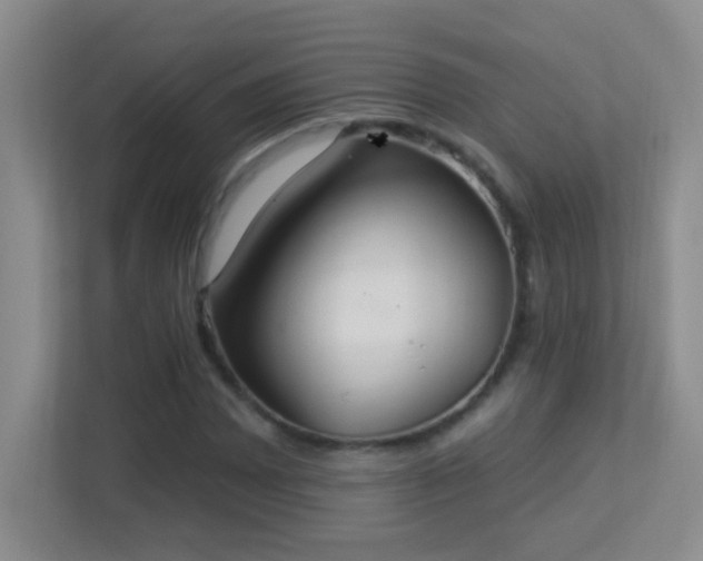 X0000113901065200909241433
