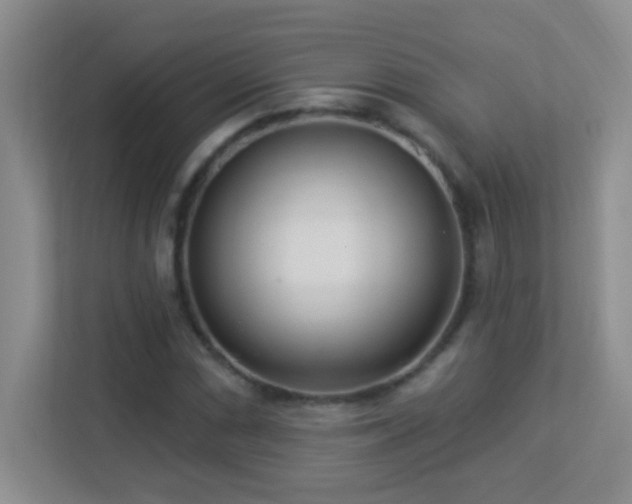 X0000113901066200909241433