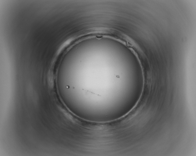 X0000113901067200909241433