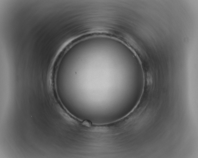 X0000113901068200909241433