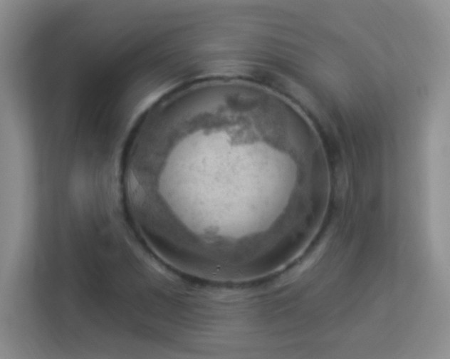 X0000113901071200909241433