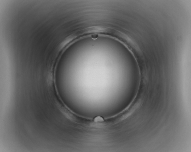 X0000113901073200909241433