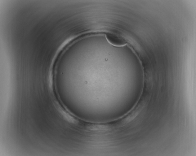 X0000113901076200909241433