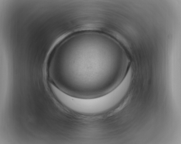 X0000113901077200909241432