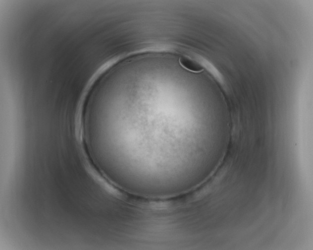 X0000113901080200909241432