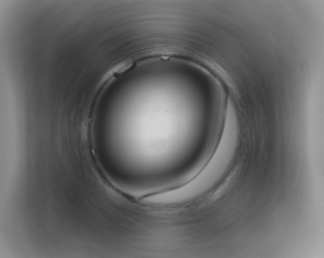 X0000113901081200909241432