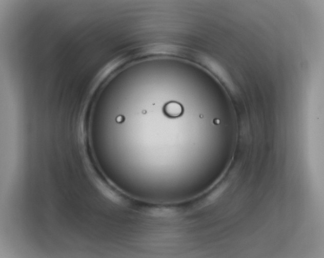 X0000113901082200909241432