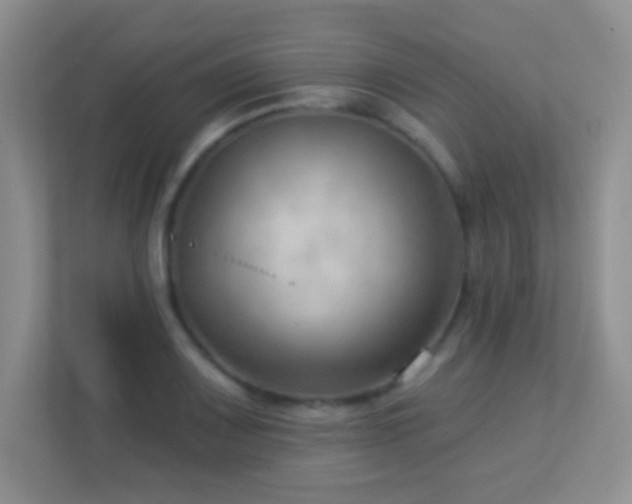 X0000113901083200909241432