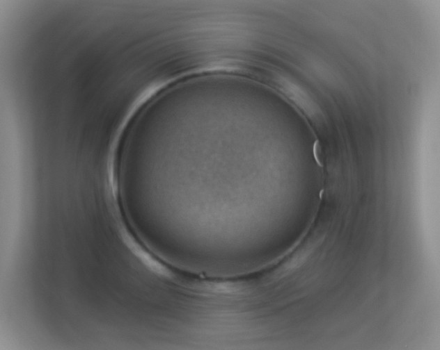 X0000113901084200909241432