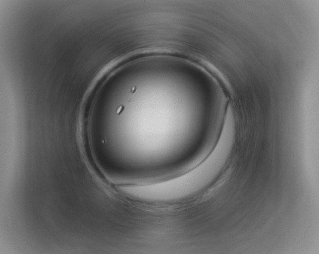 X0000113901085200909241432