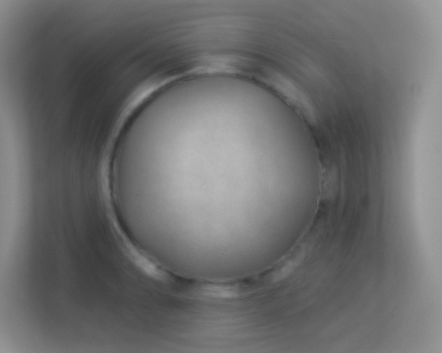 X0000113901086200909241432