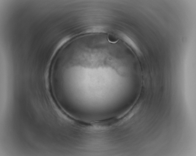 X0000113901087200909241432