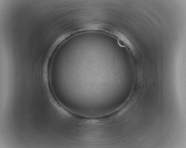 X0000113901088200909241432