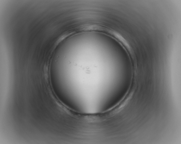 X0000113901089200909241432