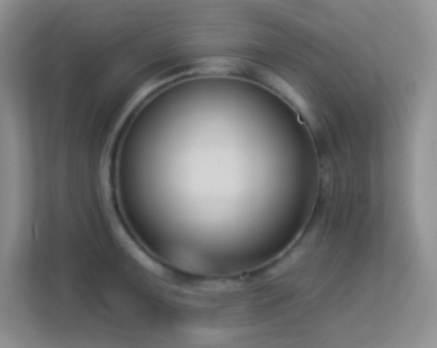 X0000113901091200909241432
