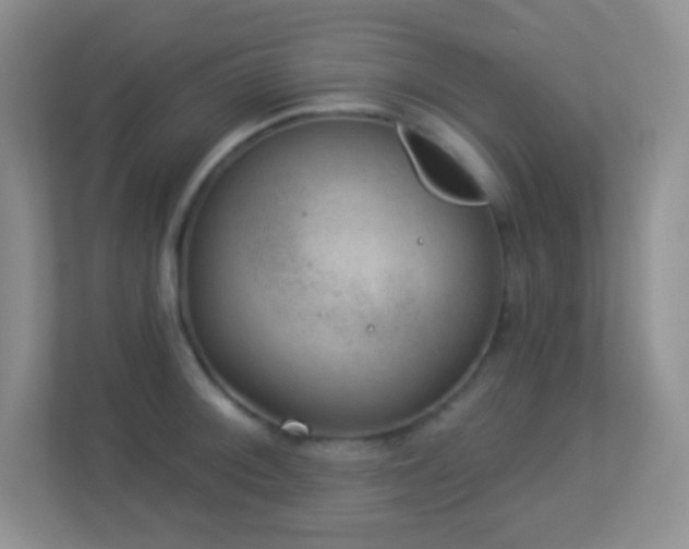 X0000113901092200909241432