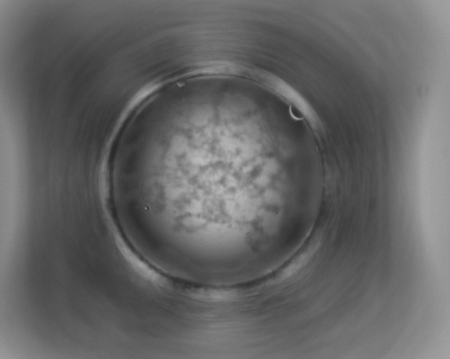 X0000113901095200909241432