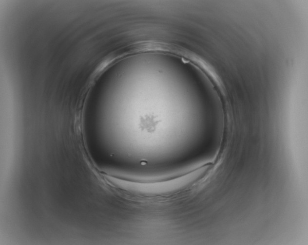 X0000113901097200909241432