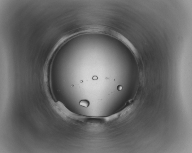X0000113901099200909241432