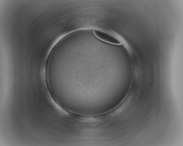 X0000113901100200909241432