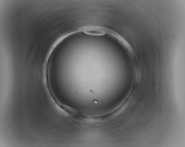 X0000113901102200909241432