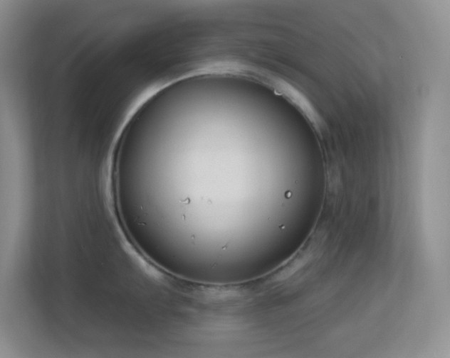 X0000113901103200909241432