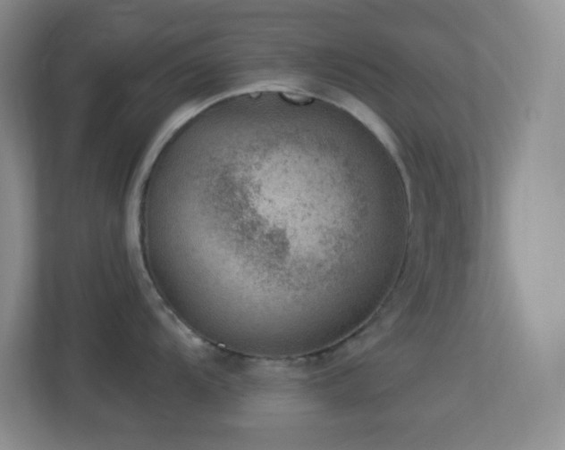 X0000113901104200909241432