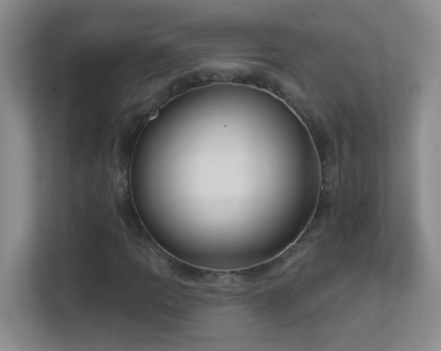 X0000113901109200909241432