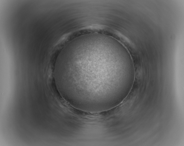 X0000113901110200909241432