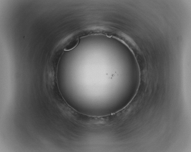 X0000113901111200909241432