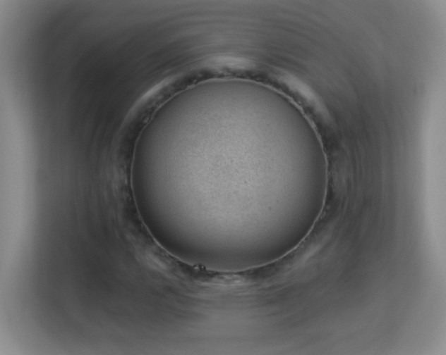 X0000113901112200909241432
