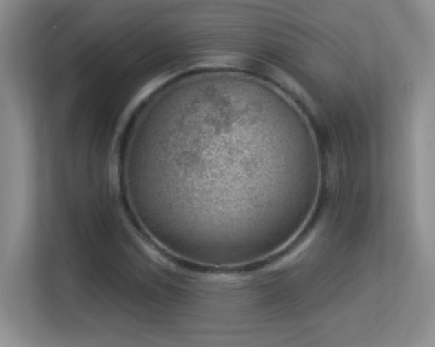 X0000113901114200909241432
