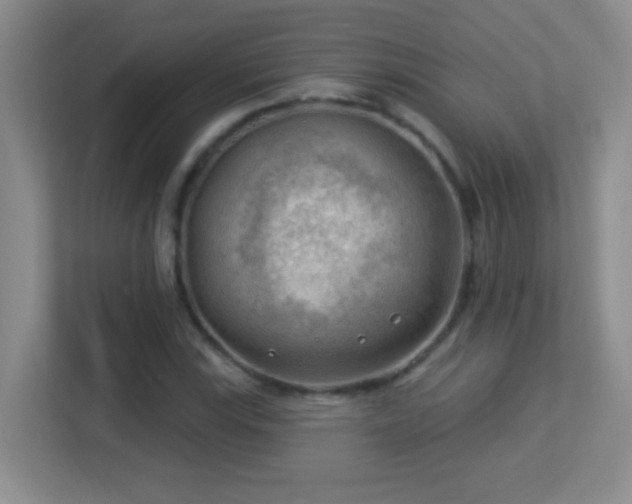 X0000113901115200909241432
