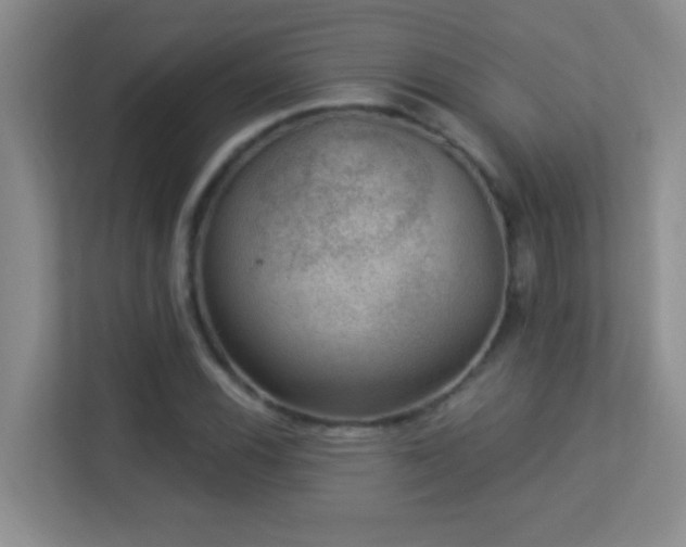 X0000113901116200909241432