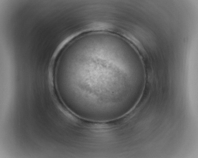 X0000113901120200909241432