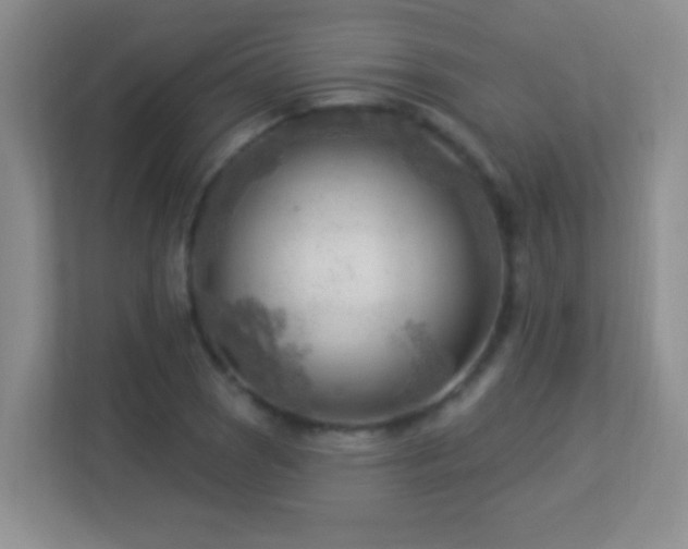 X0000113901121200909241432