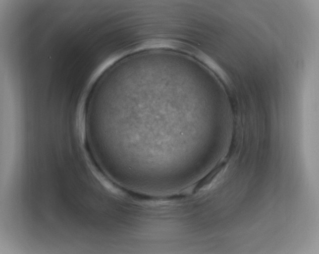 X0000113901127200909241432