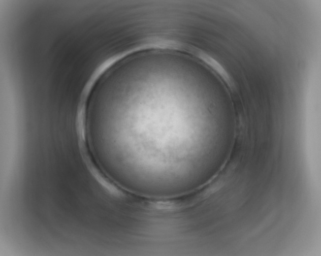 X0000113901128200909241432