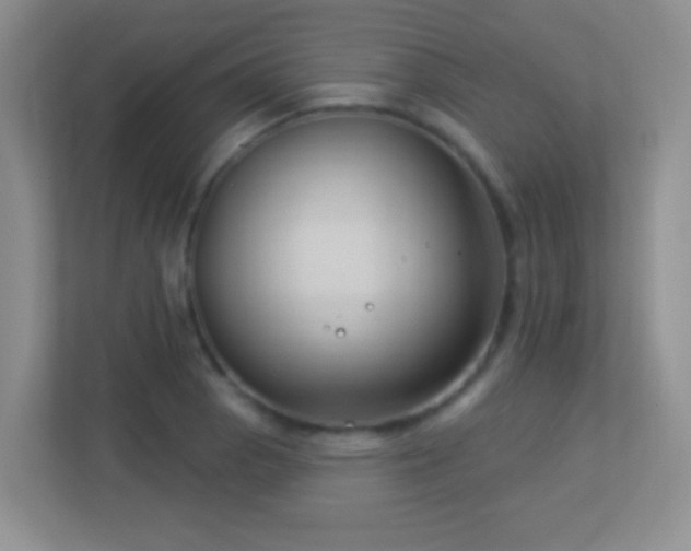 X0000113901129200909241432