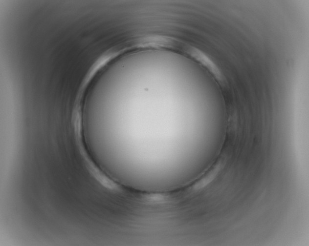 X0000113901130200909241432