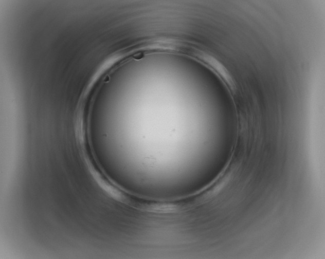 X0000113901131200909241432
