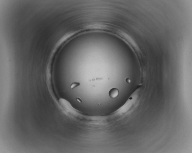 X0000113901133200909241432