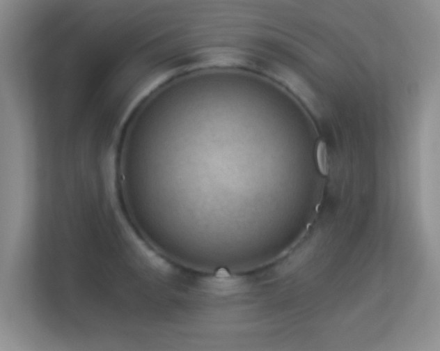 X0000113901134200909241432