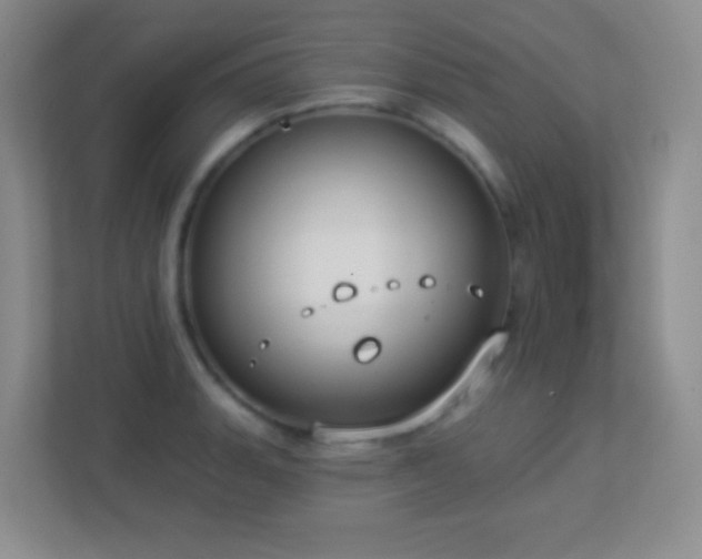 X0000113901135200909241432