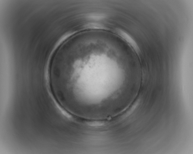 X0000113901141200909241432