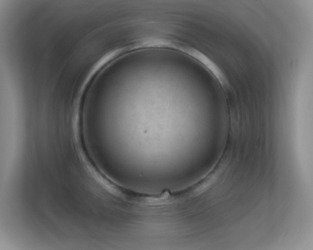 X0000113901142200909241432