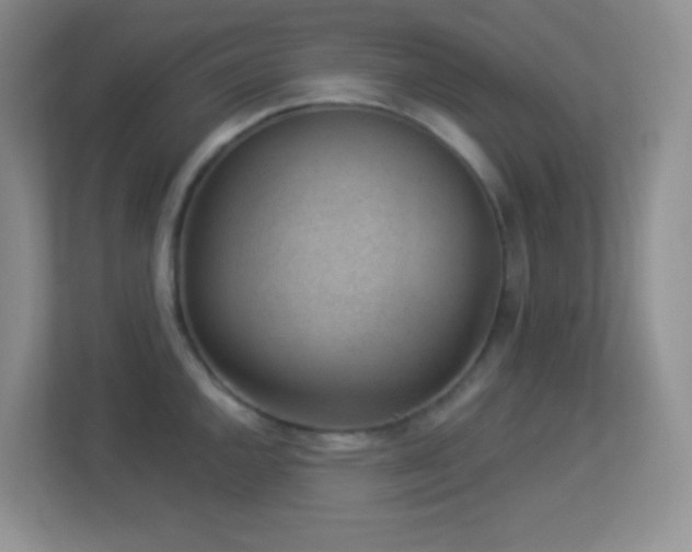 X0000113901144200909241432